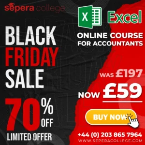 Accounting Software - Excel (Online Courses) - EARLY BLACK FRIDAY & CYBER MONDAY DEAL